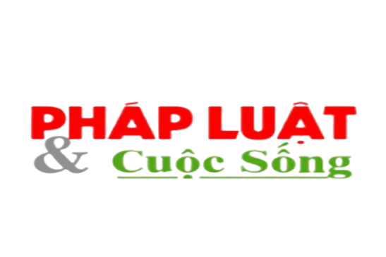 Trang chủ 307125860 460815326080293 5229765598397733824 n removebg preview 2