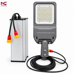 Đèn đường NLMT LNC-113 đèn và tấm pin LNC-113